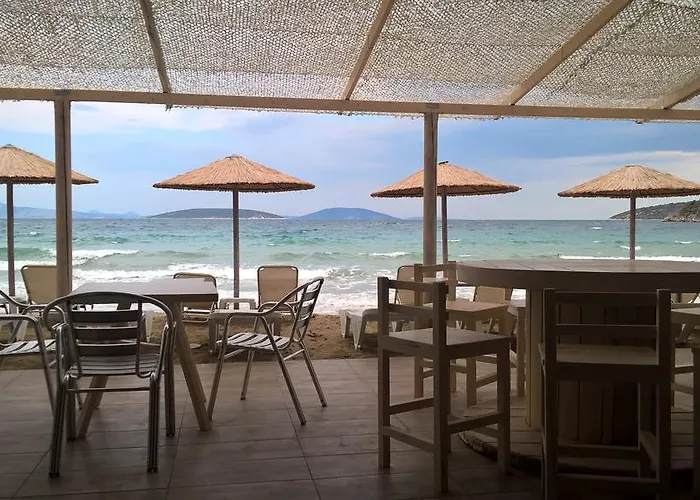 酒店 阿尔特弥斯酒店 2*